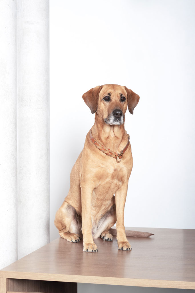 _DSC2970_komprimiert